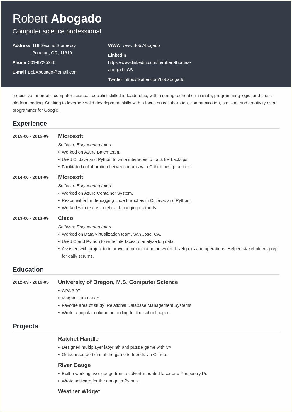 Computer Science Student Resume Summary Examples