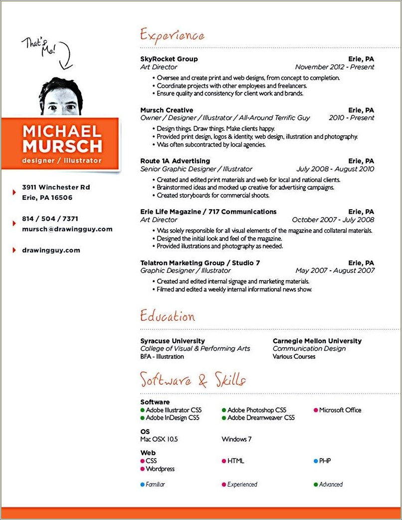 Cool Resume Examples For Web Designer