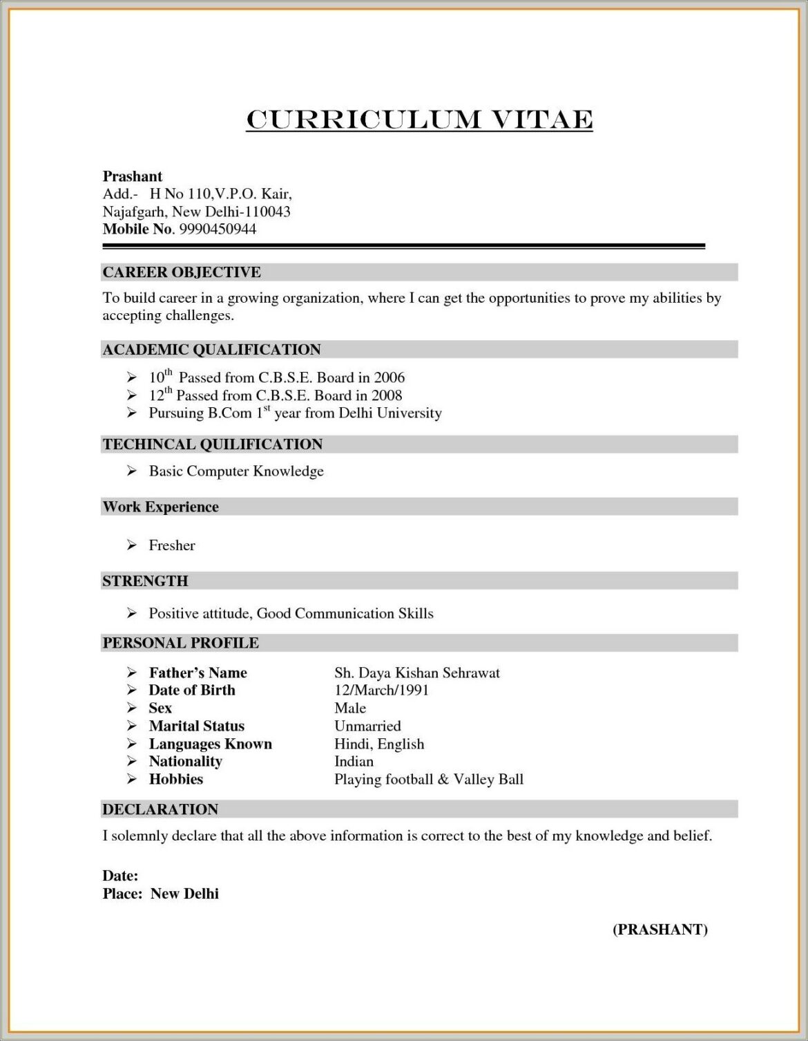 Curriculum Vitae Resume Samples For Freshers