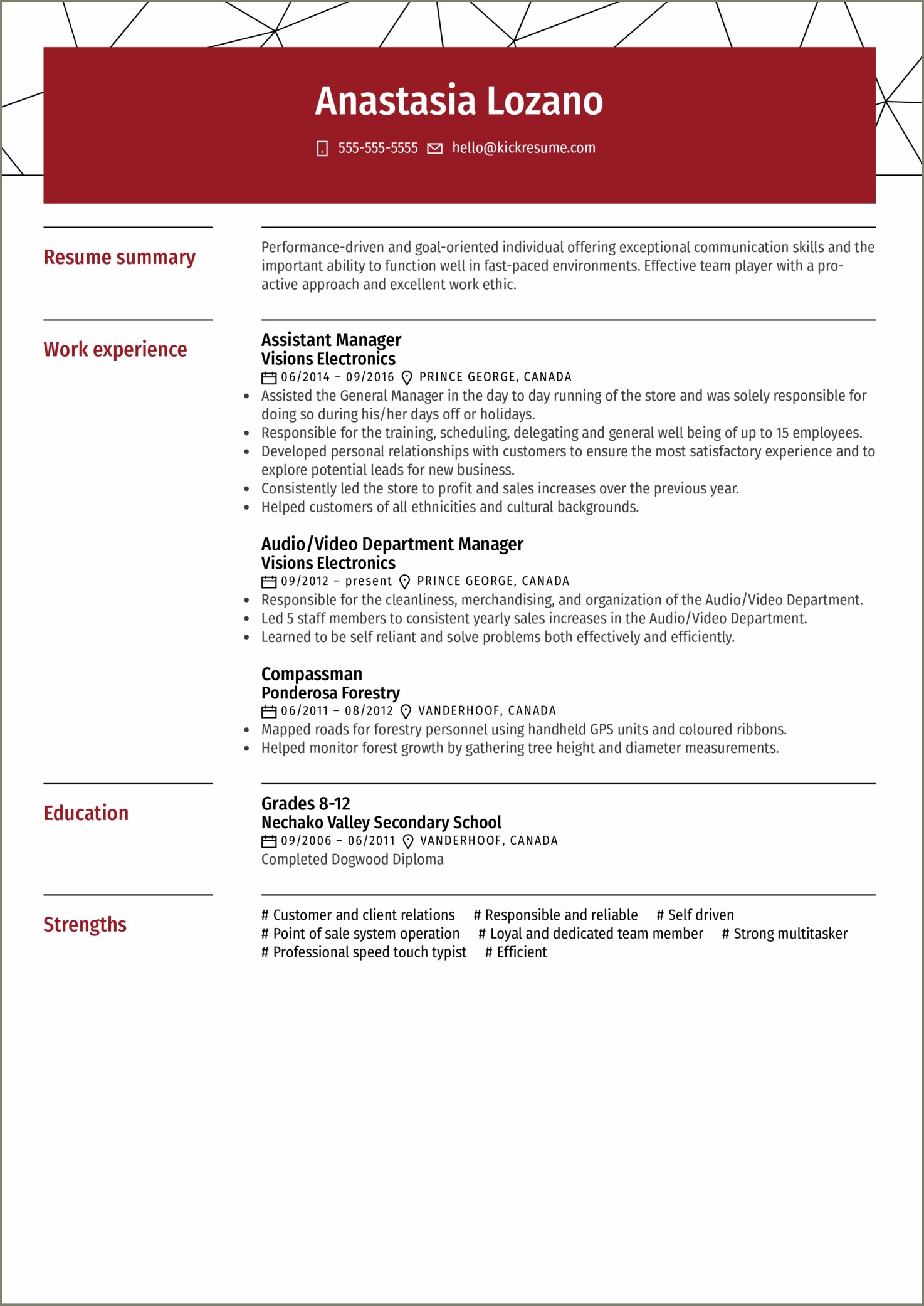 Customer Service Rep Example Resume Summary