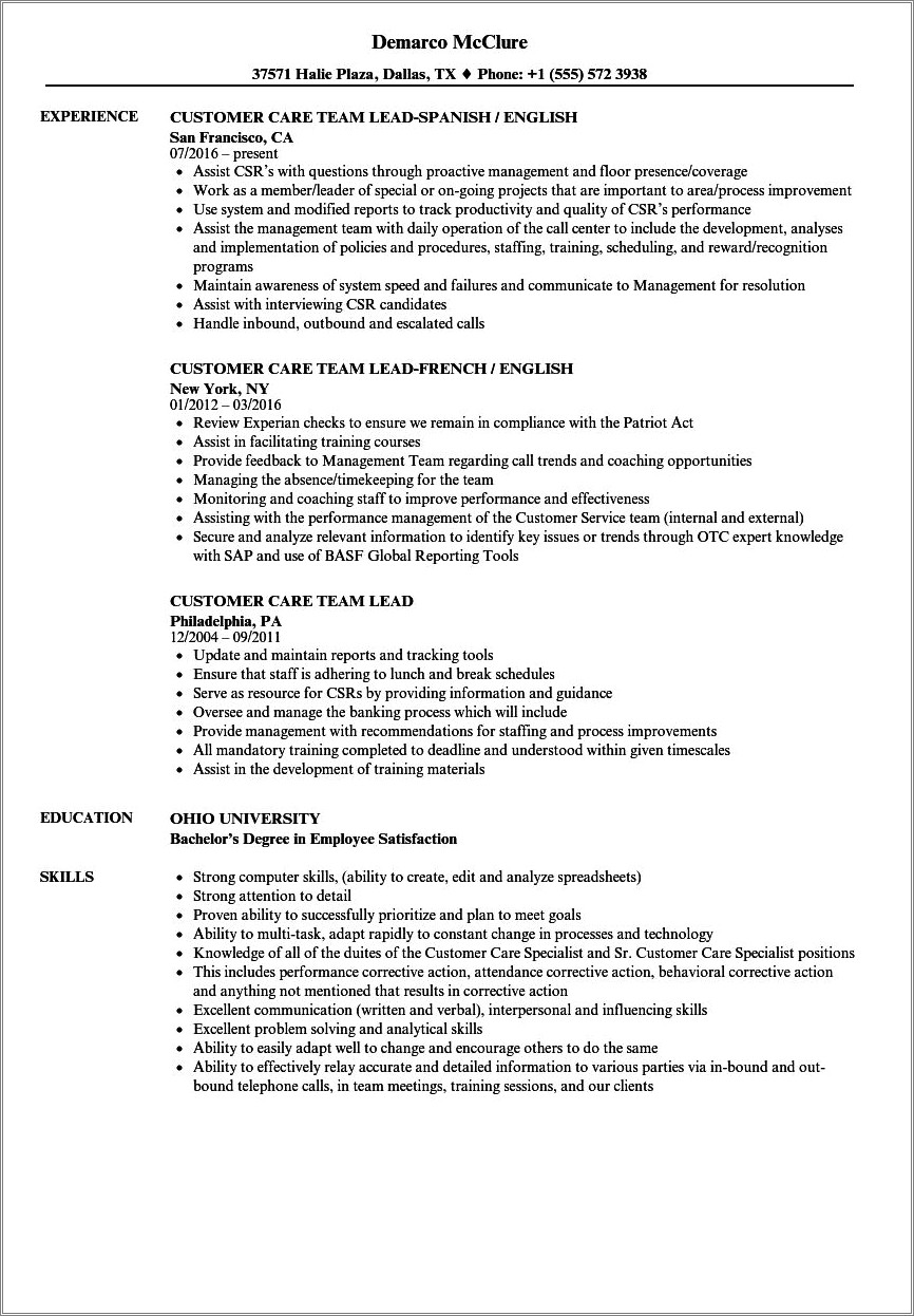 Customer Service Team Lead Objective Resume Sample