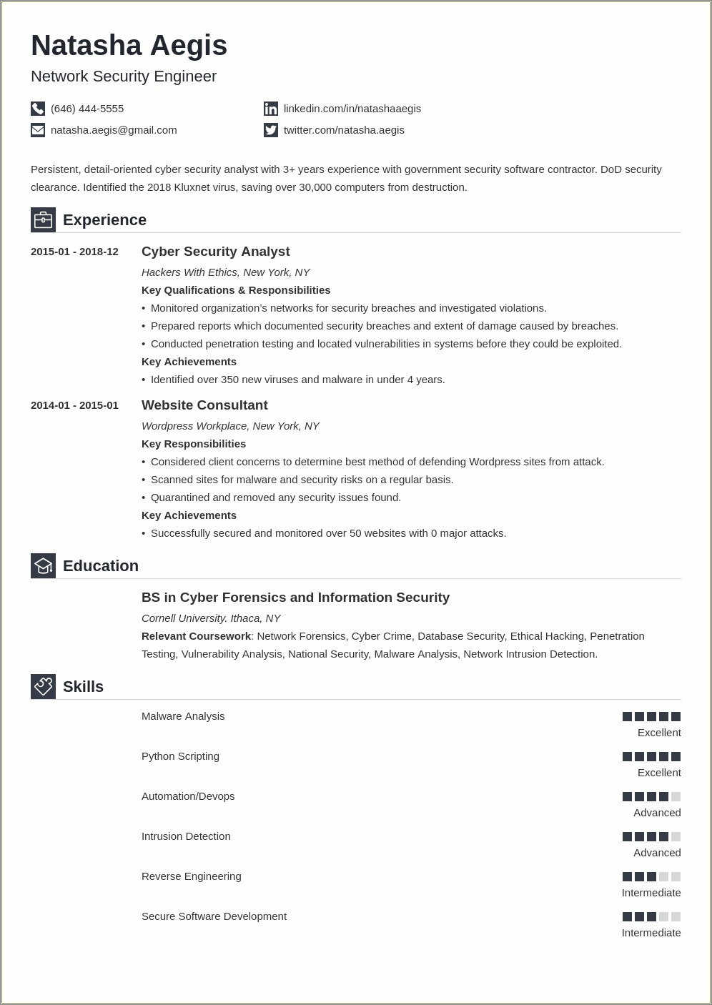 Cyber Security Expert Resume Summary Examples