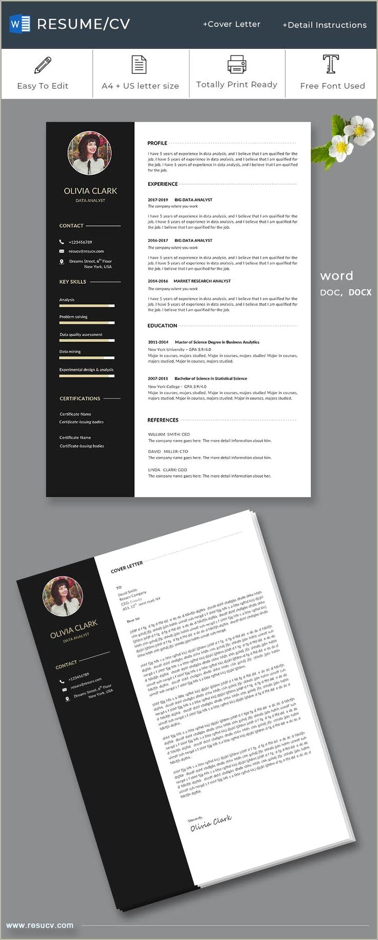 Data Analyst Resume Template Ms Word