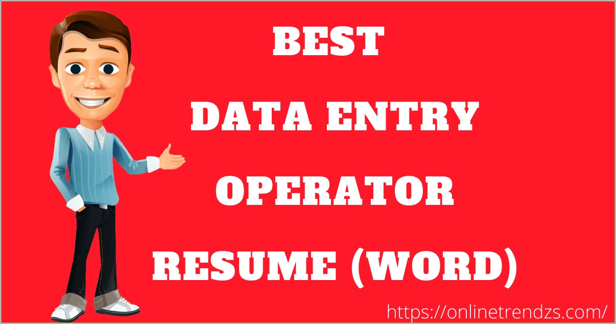 Data Entry Operator Resume Sample India