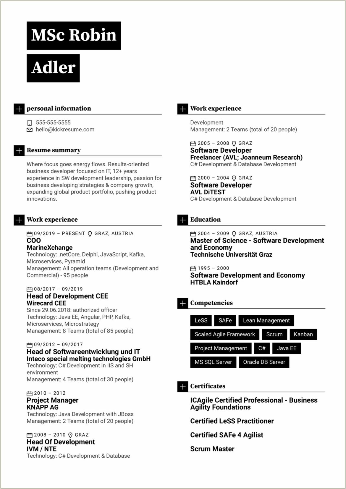 Director Of Development Resume Examples 2019