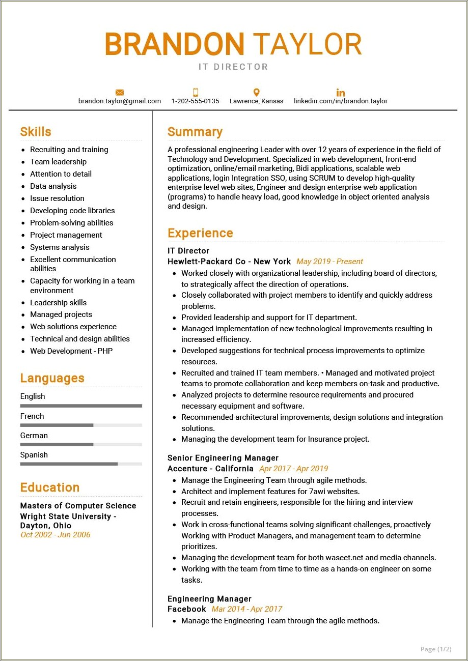 Director Of Information Technology Resume Example Download