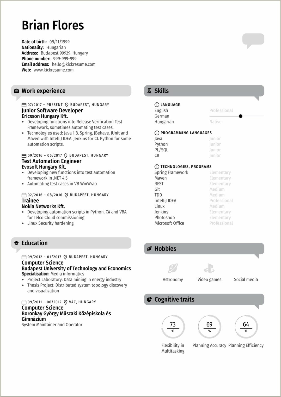 Dot Net Developer Resume Sample