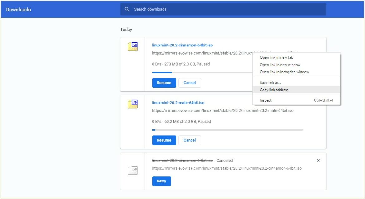 Download Resumer Chrome Extension Doanload Manager