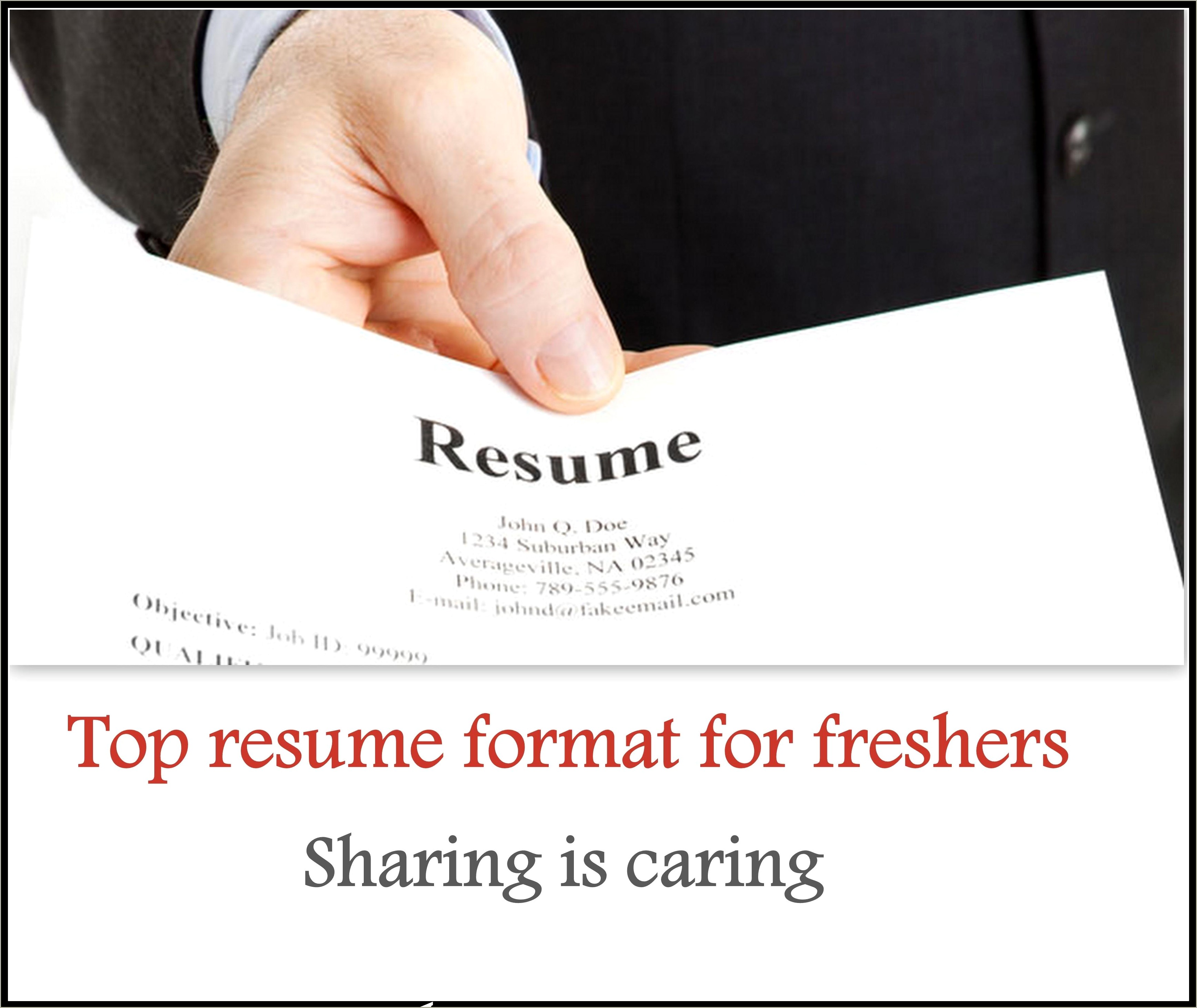 Download Sample Of Resume For Freshers