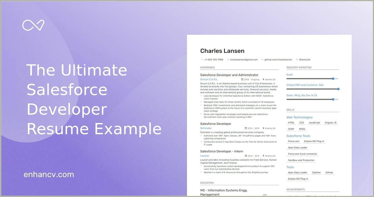 Dsalesforce Developer Resume With Visual Force Experience