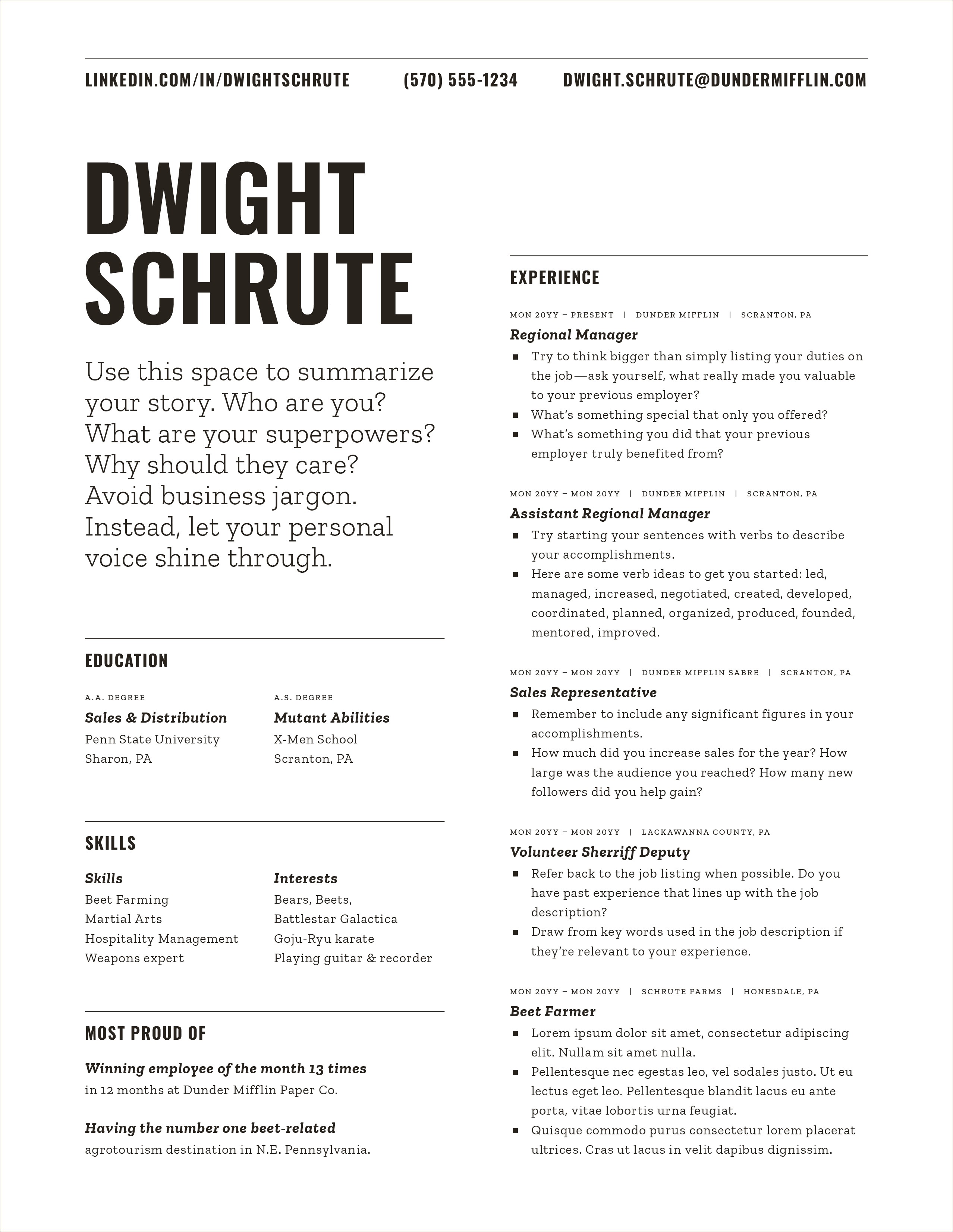 Dwight K Schrute Resume Free Template