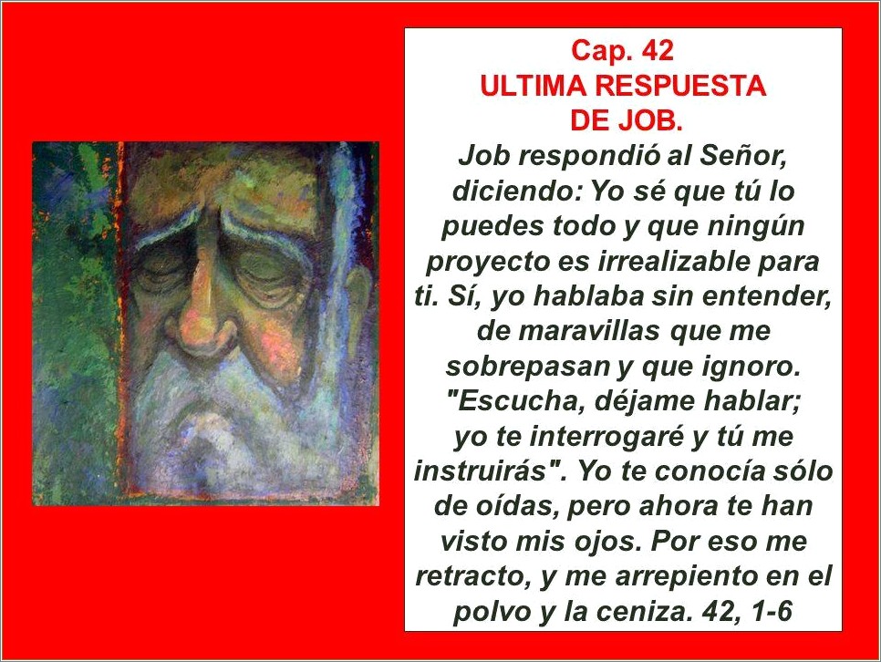 El Libro De Job Resumen Por Capitulos