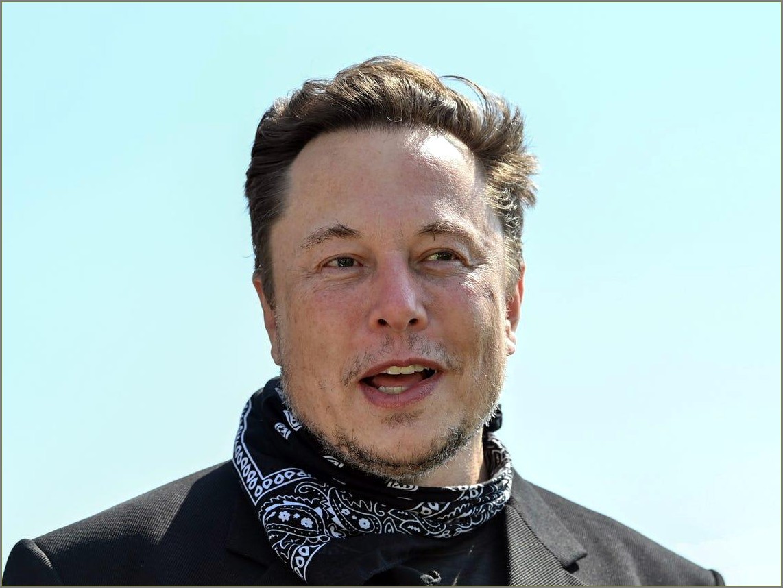Elon Musk Resume Template Download Free