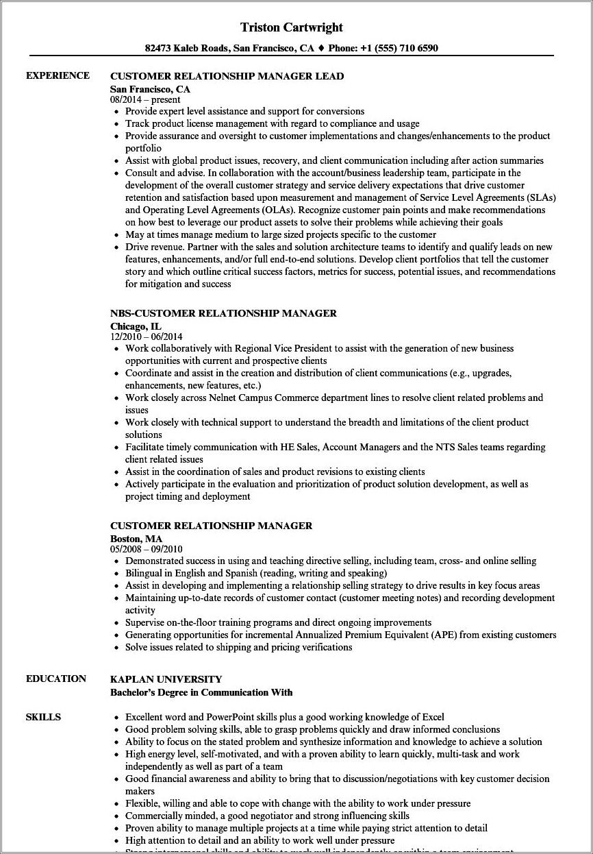 Enterprise C Level Customer Relationship Skills Resume