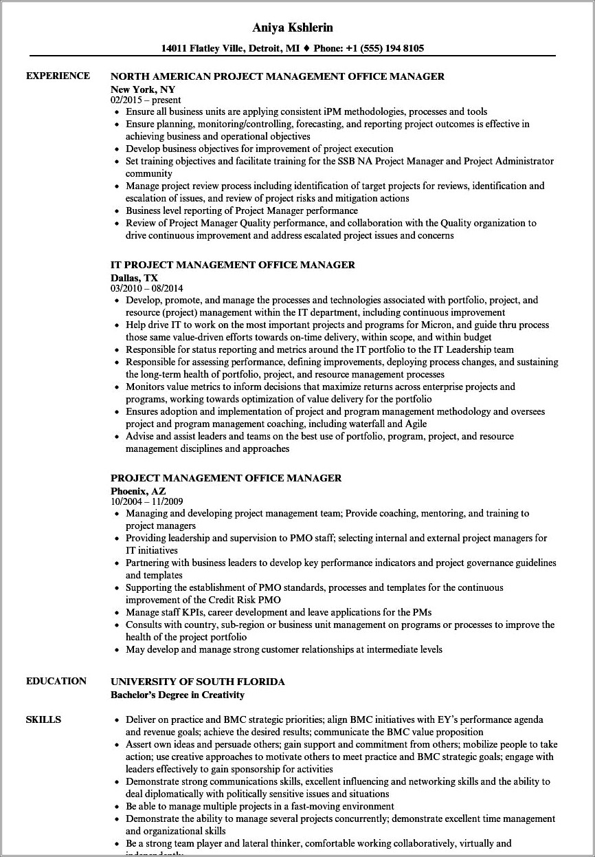 Enterprise It Pmo Executive Sample Resume