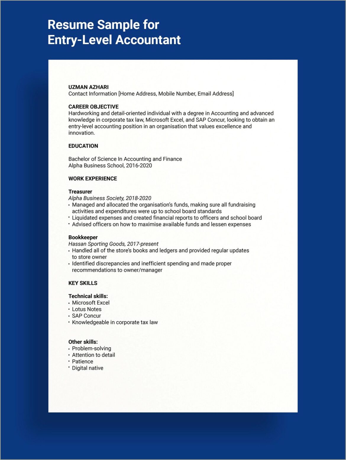 Entry Level Accountant Resume Template Free