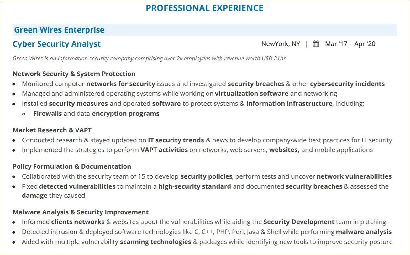 Entry Level Cyber Security Resume Summary