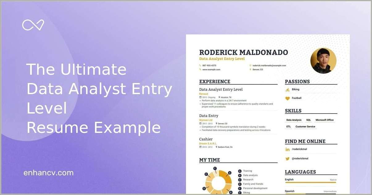 Entry Level Data Analyst Resume Summary