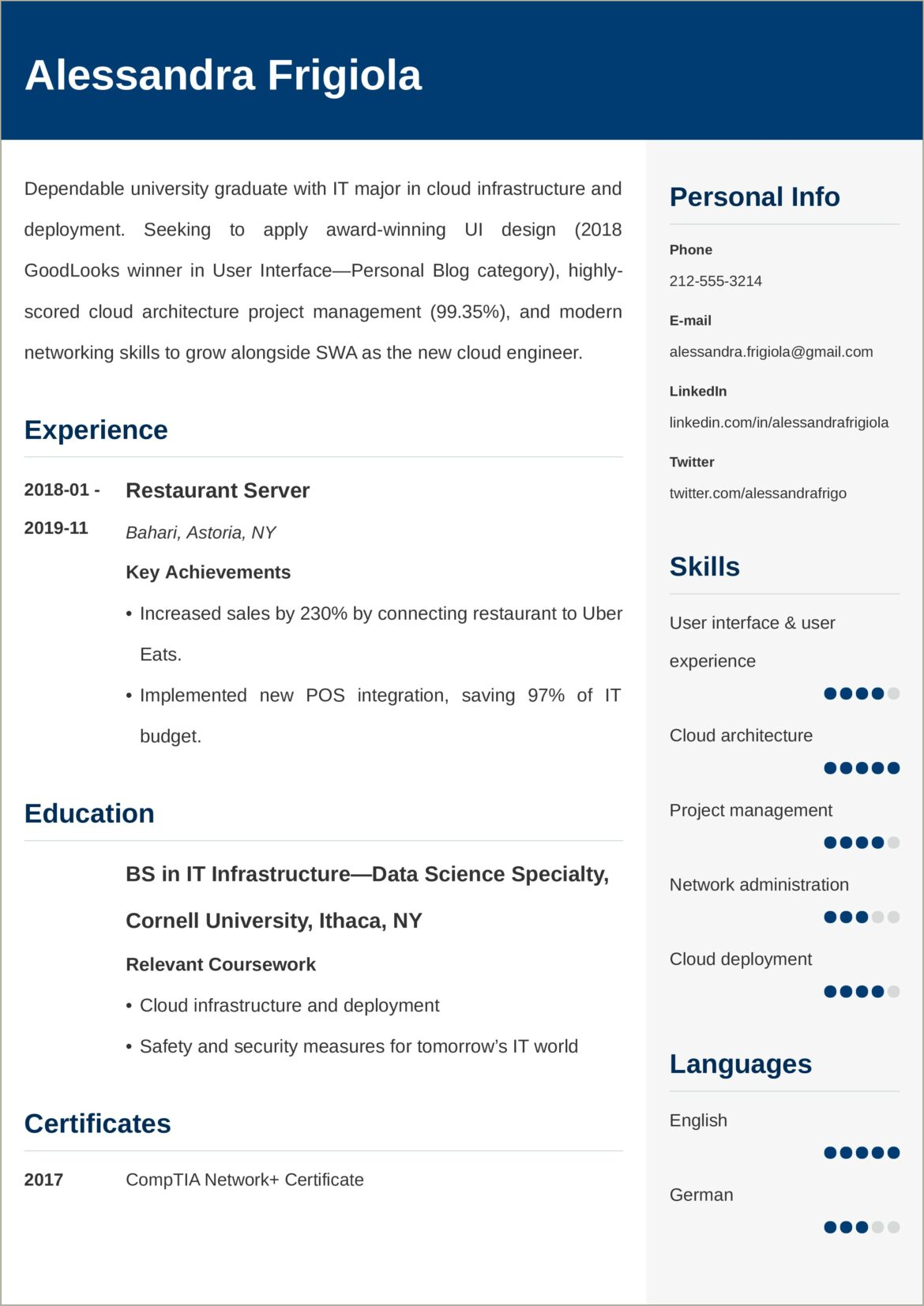 Entry Level It Technician Resume Template