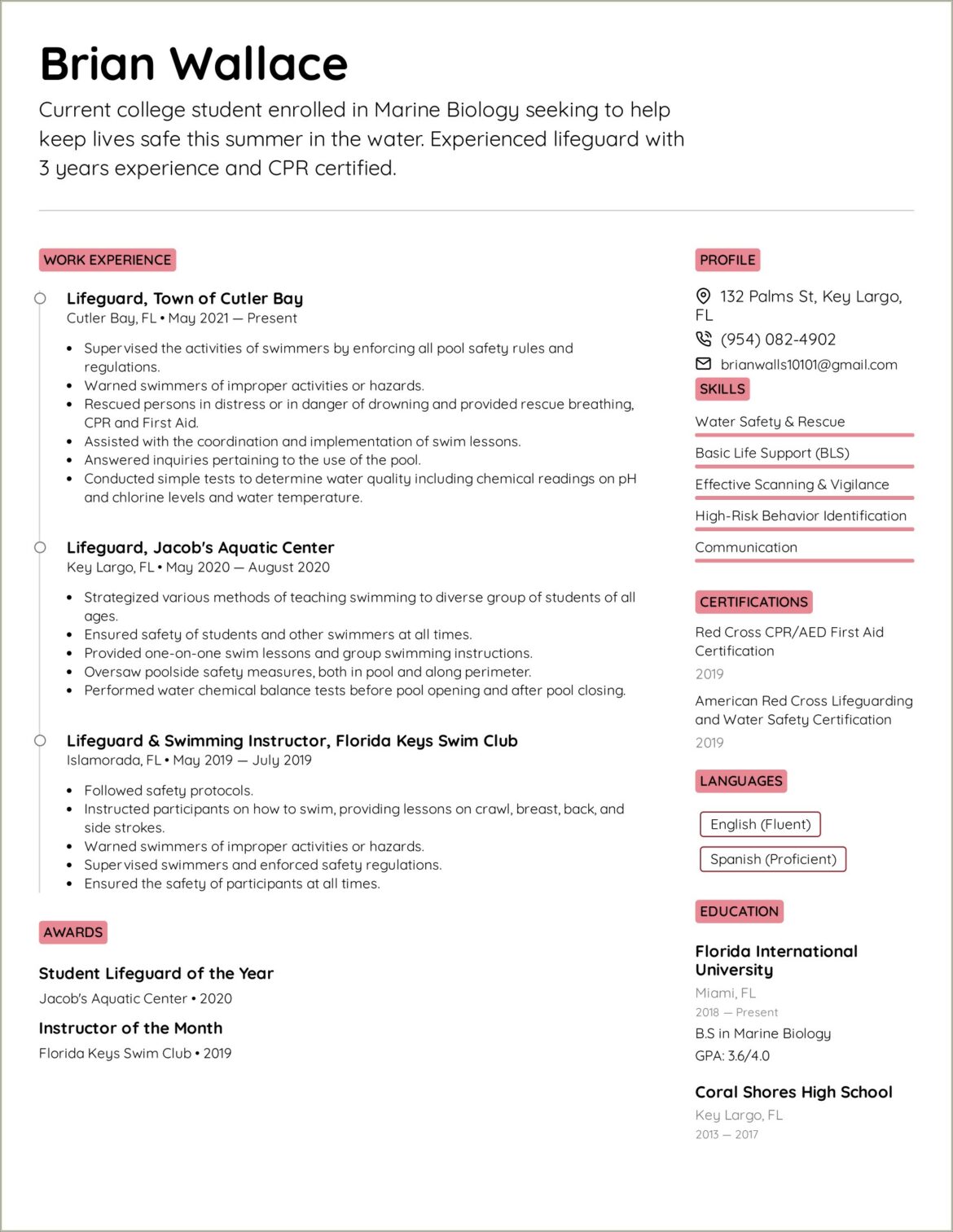 Entry Level Lifeguard Resume Example Email