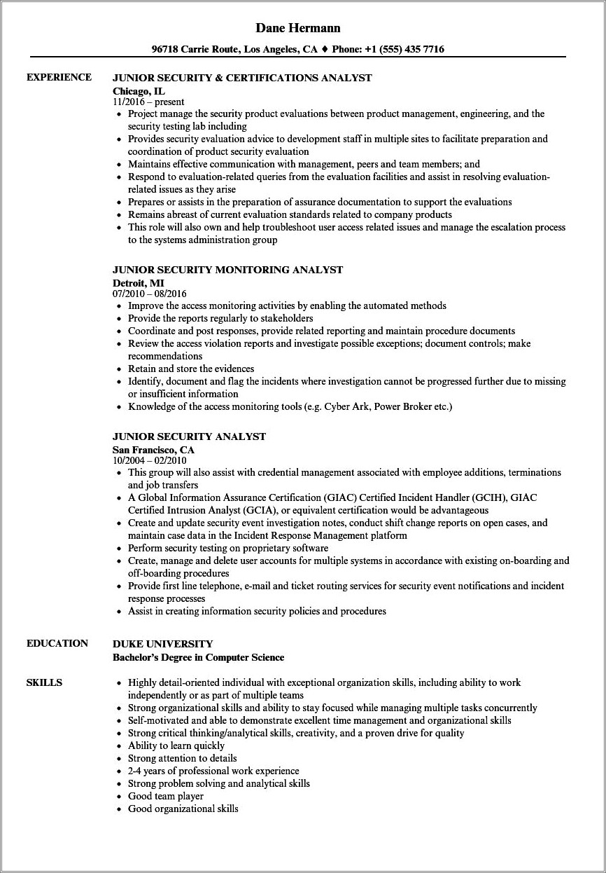 Entry Level Secerity Job Resume Example