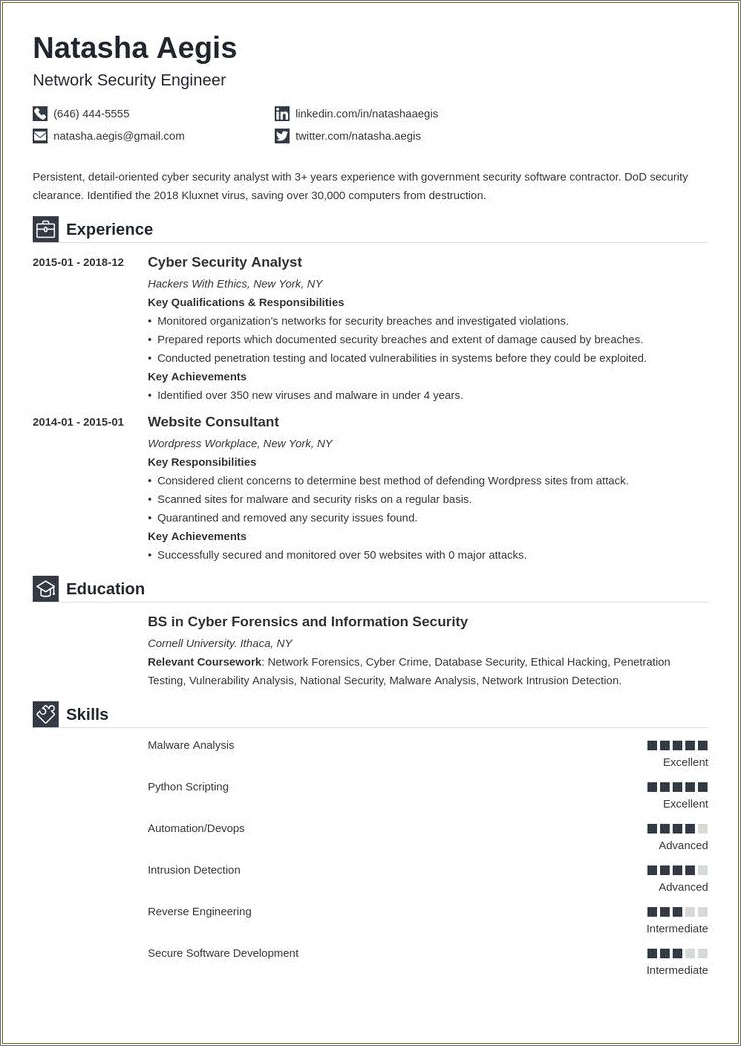 Entry Level Security Analyst Resume Sample