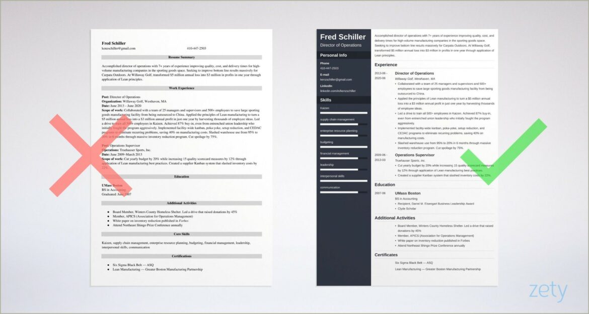 Example Objective For Resume Director Of Operations