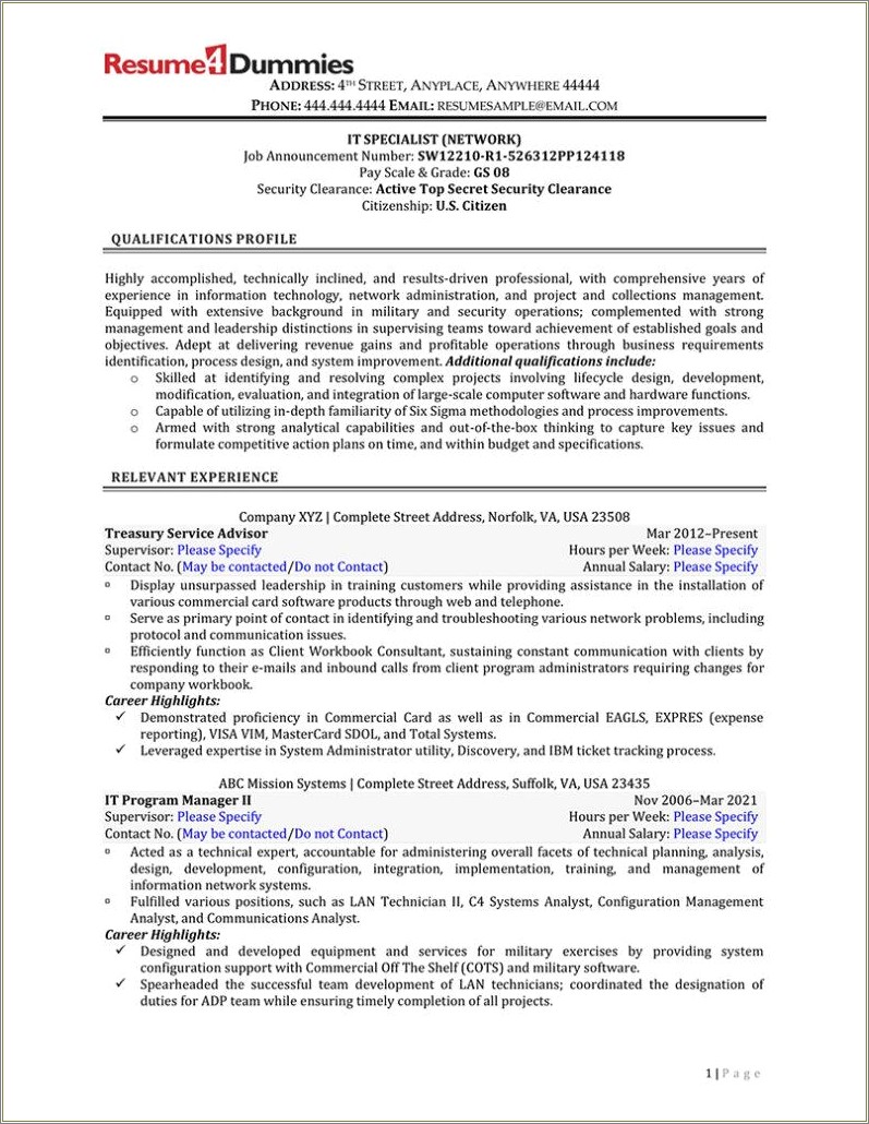 Example Of A Government Resume Format