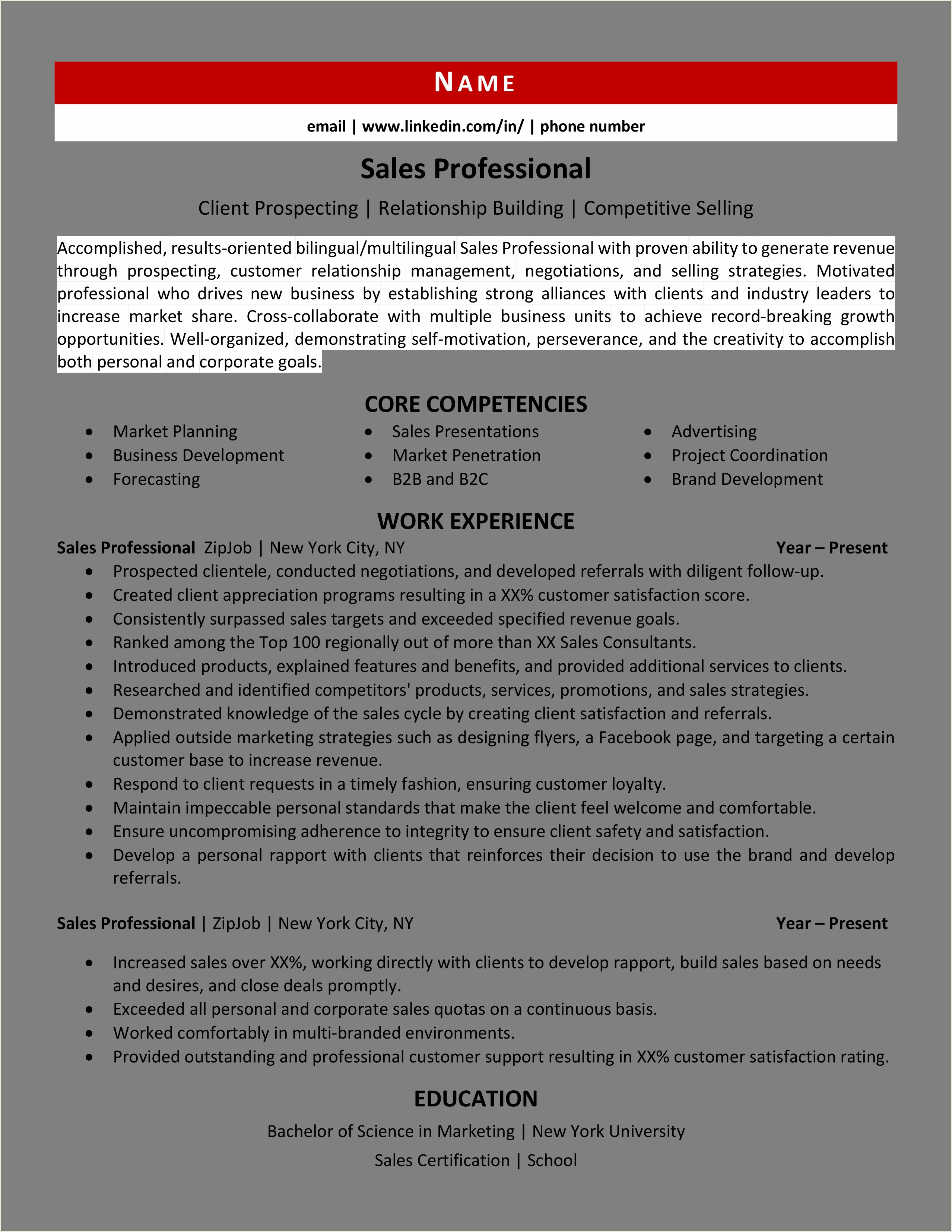 Example Of A Professional Sales Resume