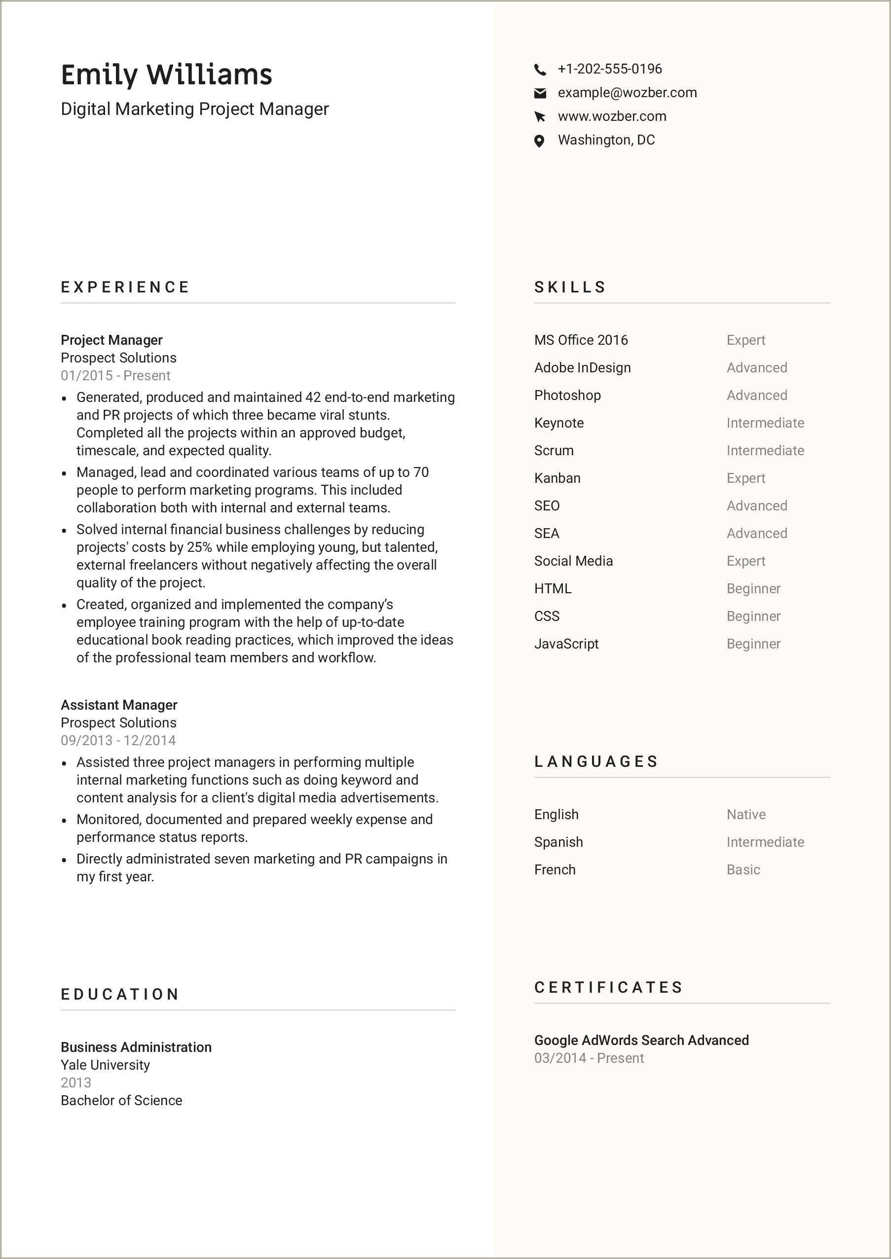 Example Of A Resume For A Project Manager