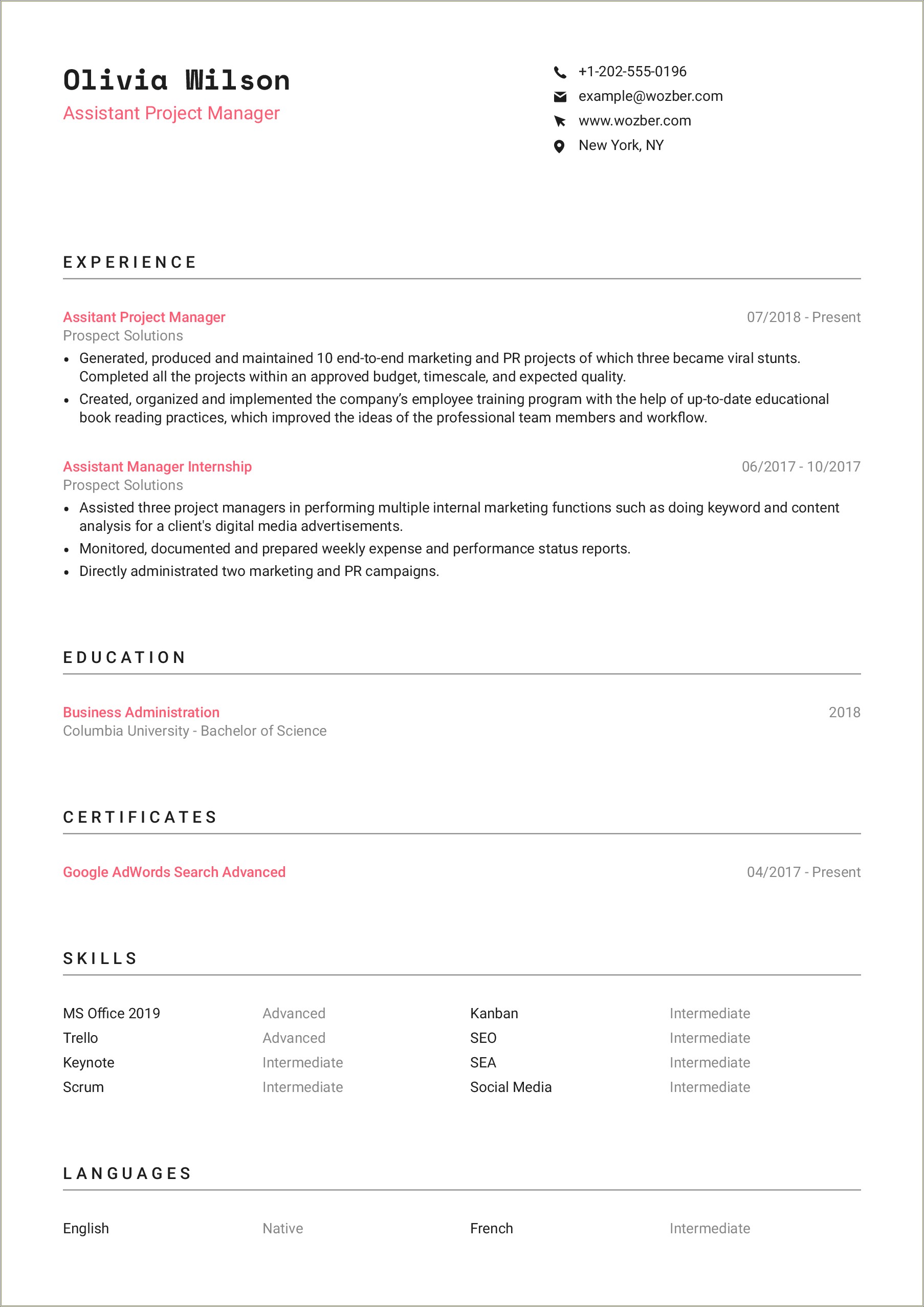 Example Of A Resume In English