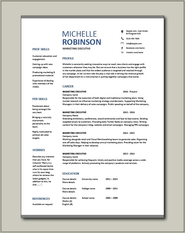 Example Of A Sales Executive Resume
