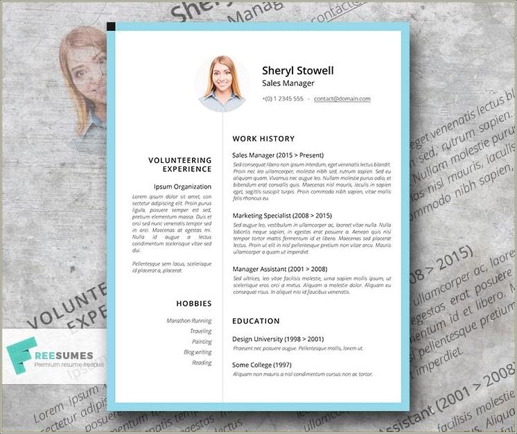 Example Of A Simple Professional Resume