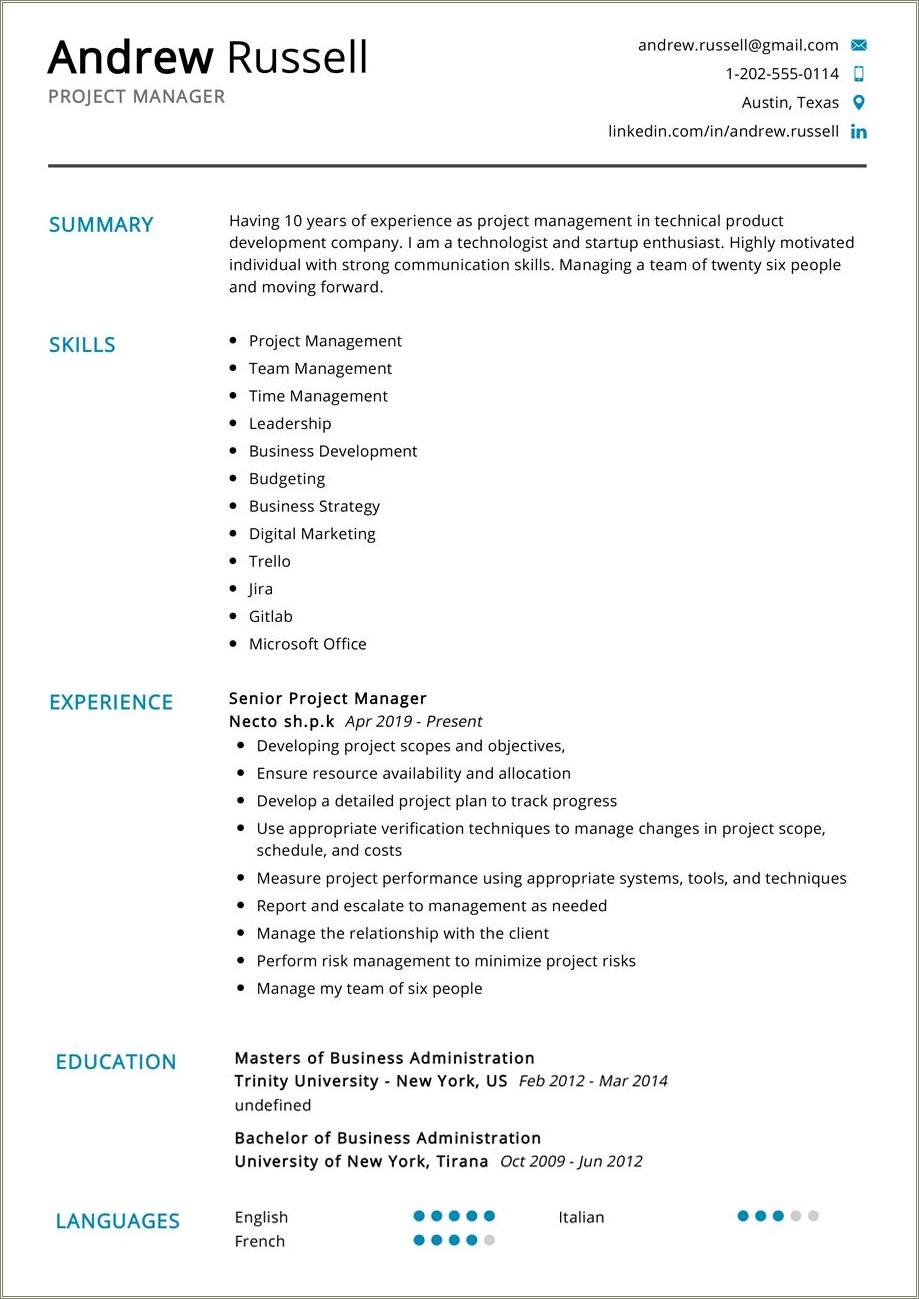 Example Of A Startup Company Project Manager Resume