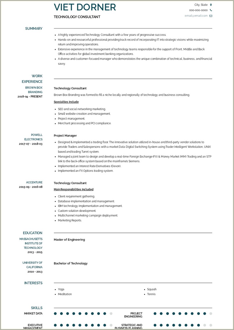 Example Of A Young Tech Consultant Resume