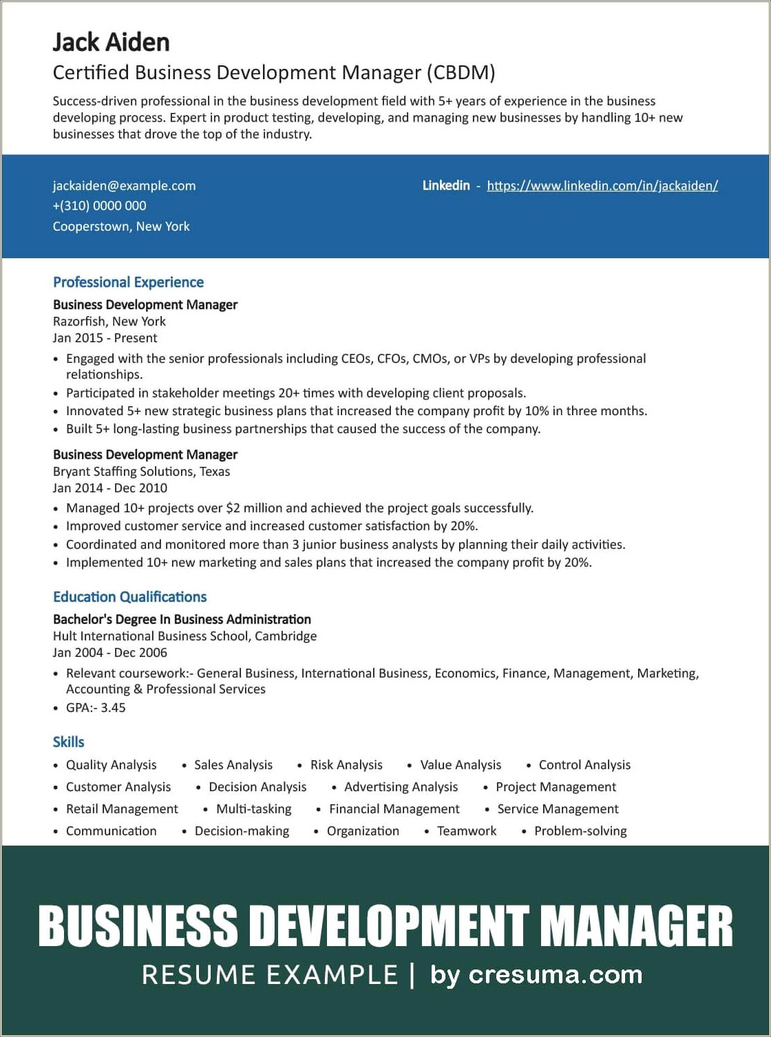 Example Of Business Development Manager Resume