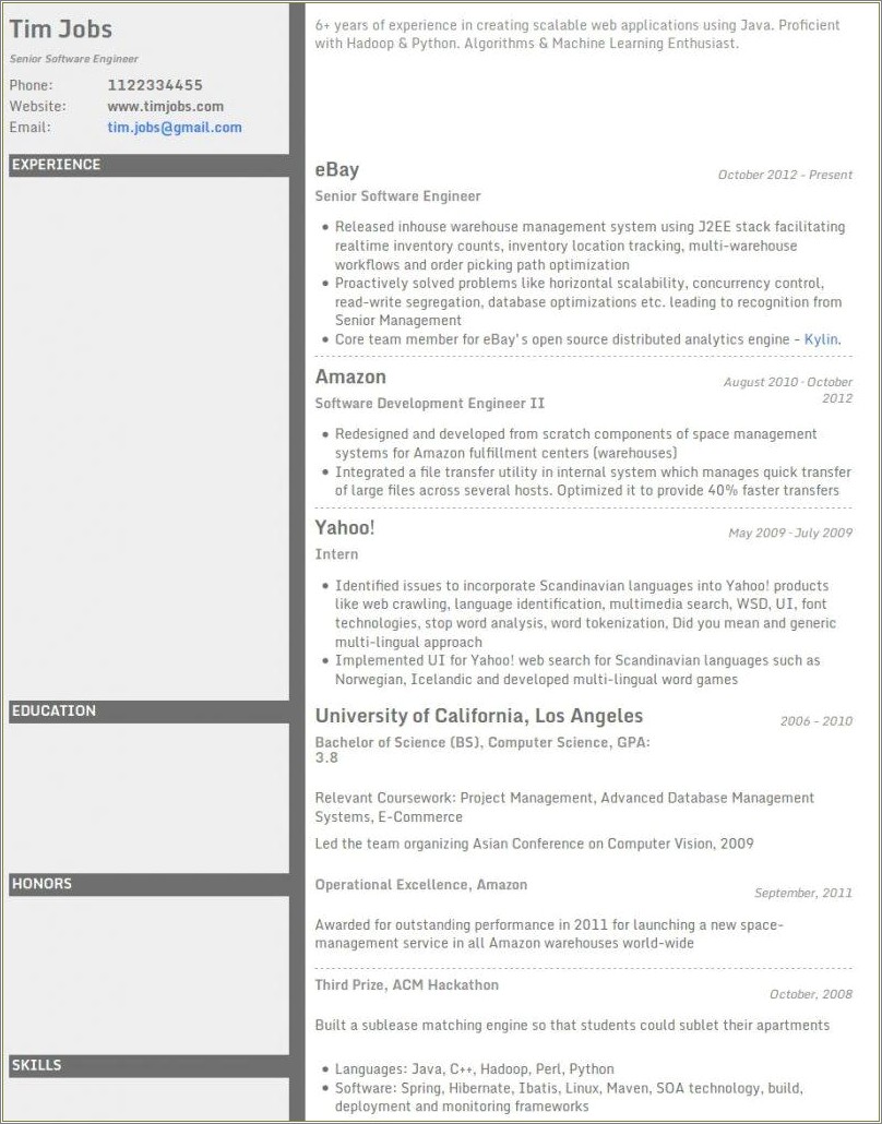 Example Of Functional And Chronological Resume