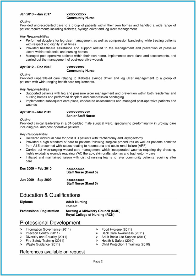 Example Of Professional Resume For Nurse