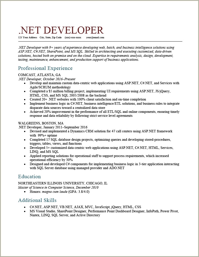 Example Of Resume For Developer
