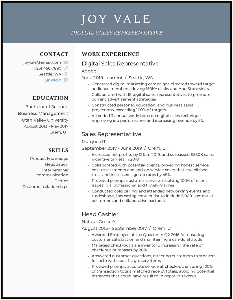 Example Of Resume Objective For Sales Position