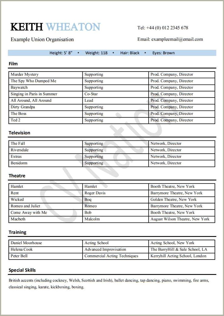 Example Of Resume To Get Into Booth