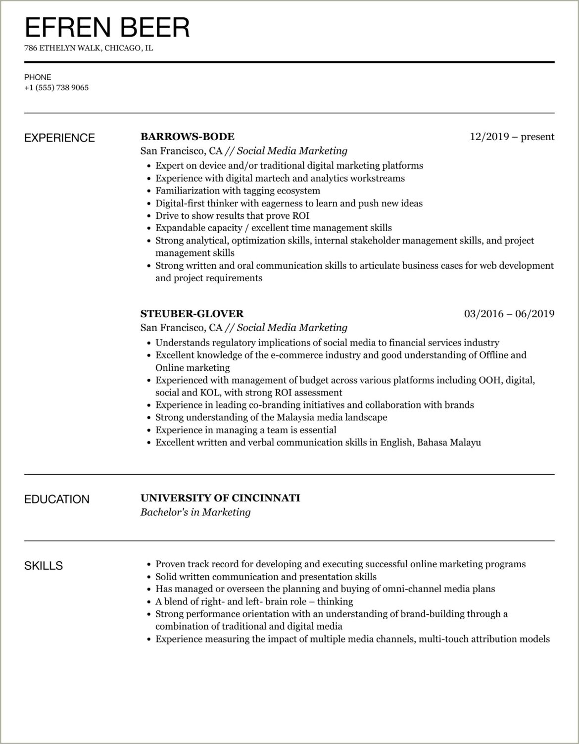 Example Of Social Media Marketing Resume