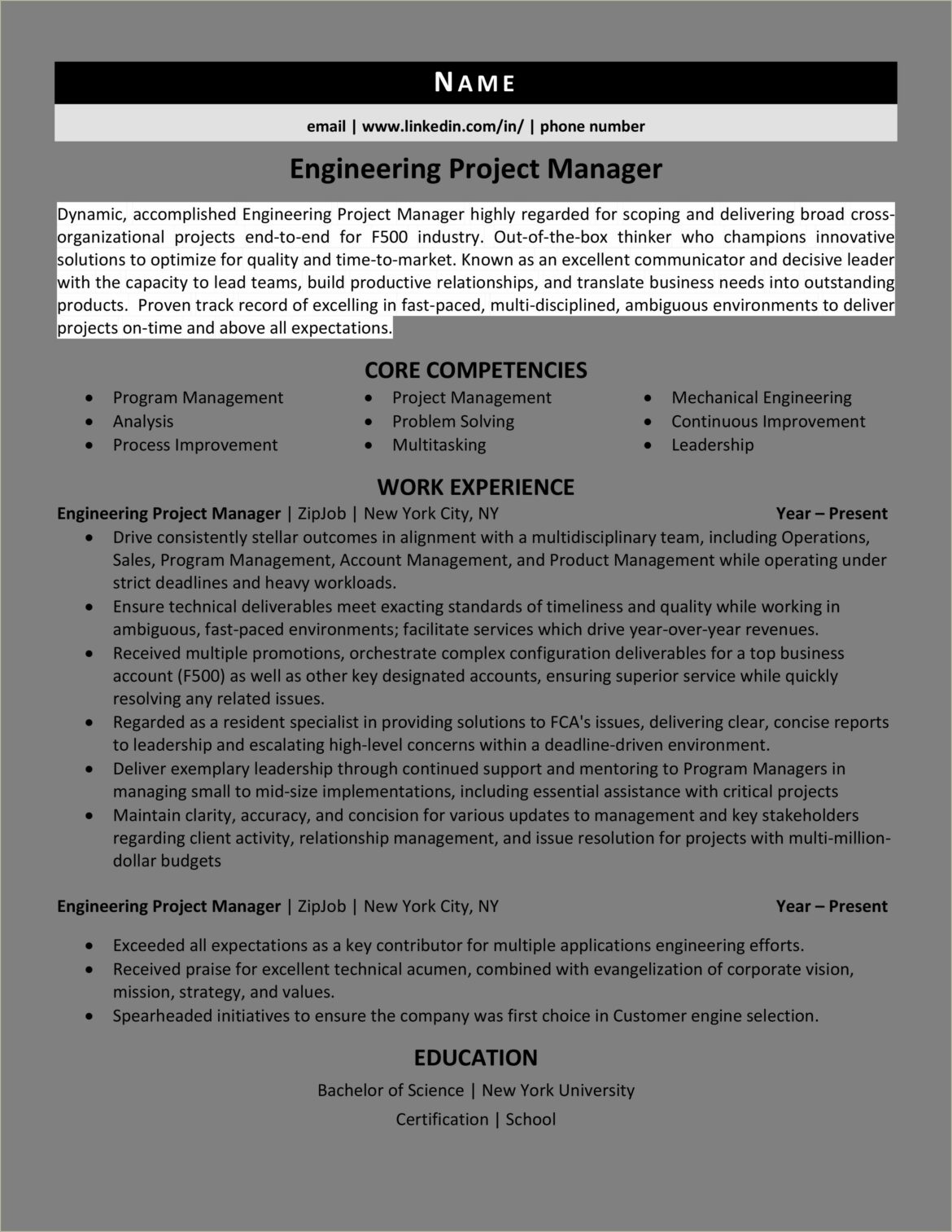 Example Project Manager Resume For Science