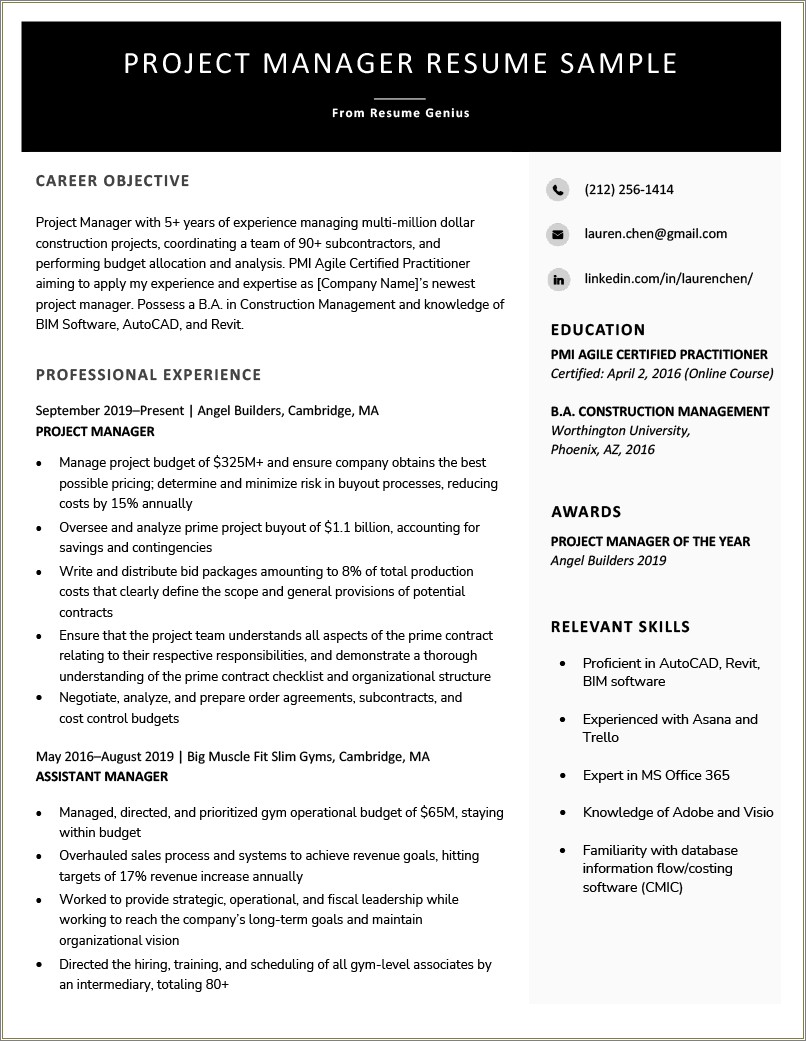 Example Project Manager Resume With Objective