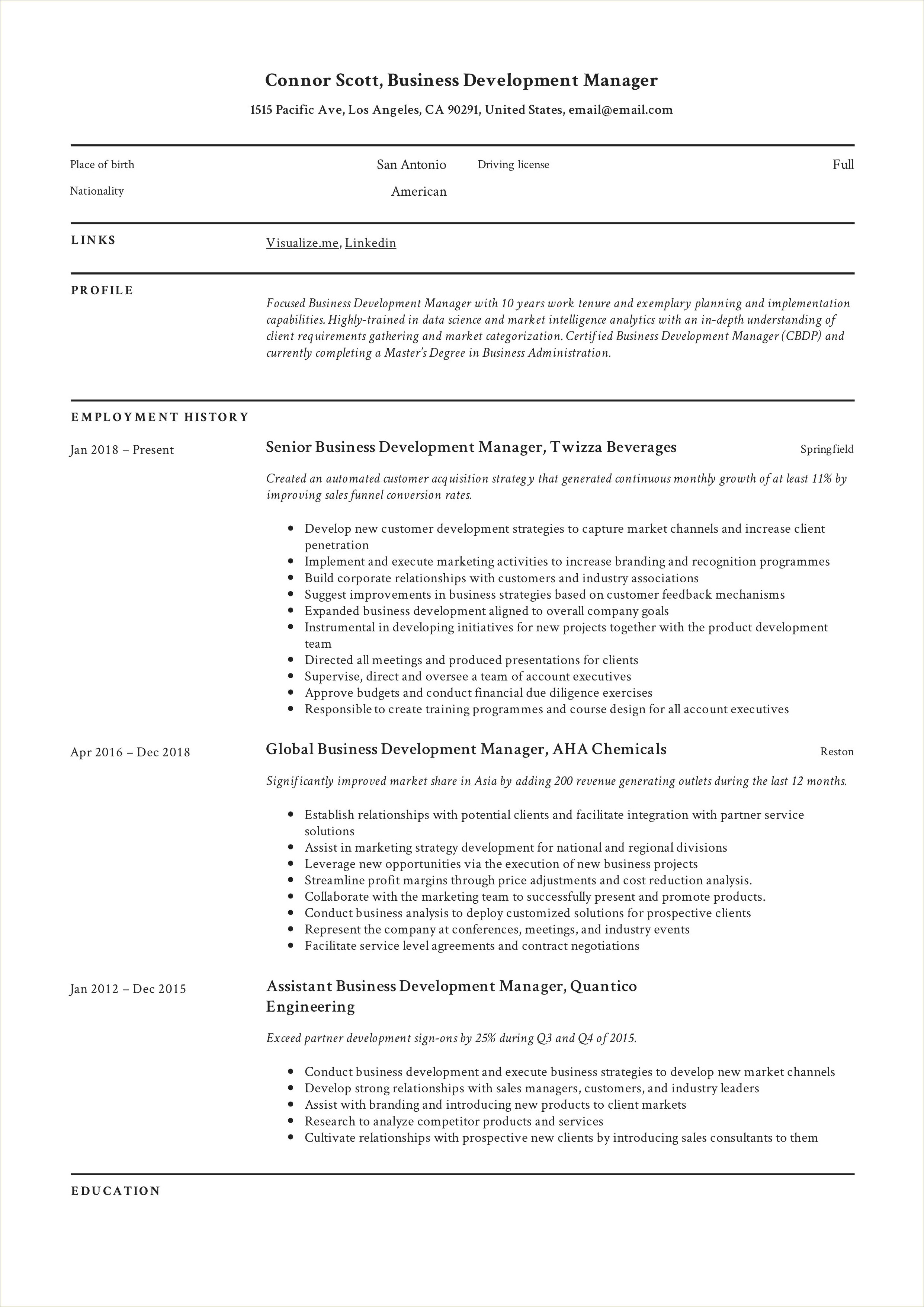 Example Resume Director Of Business Development