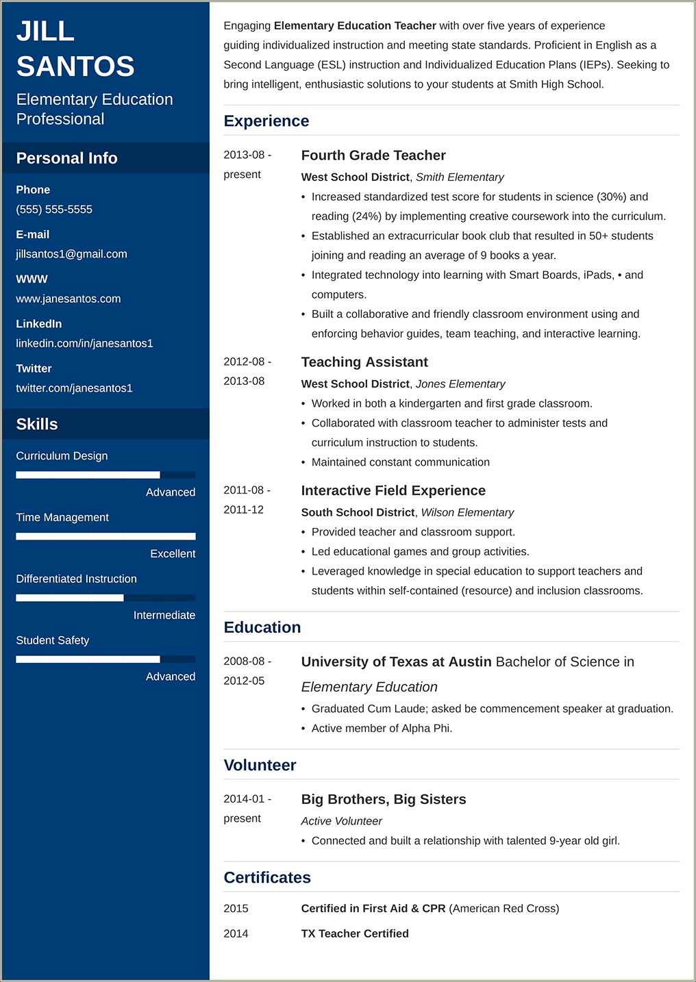 Examples Of A Good Professional Resume