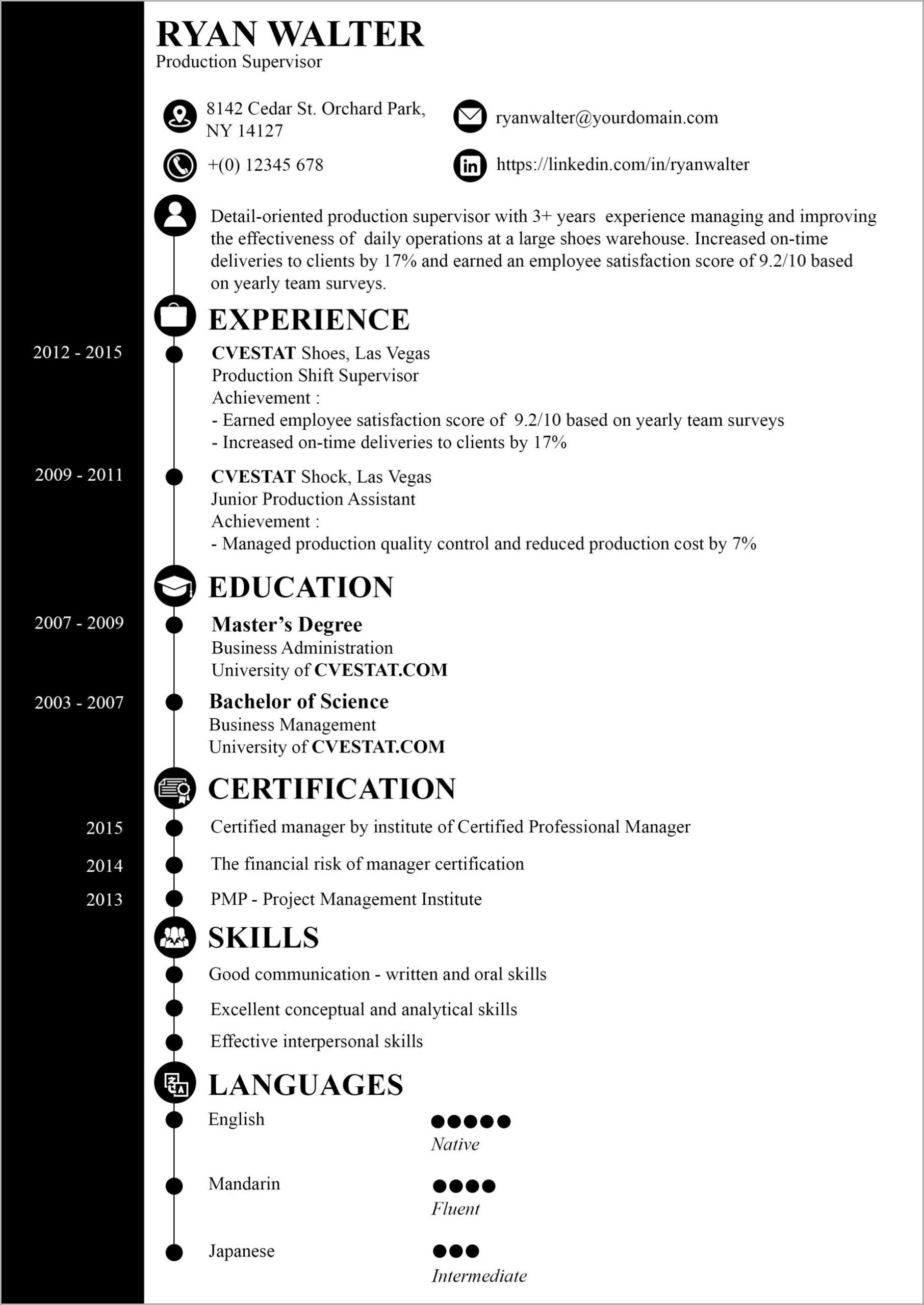 Examples Of A Good Summary On A Resume