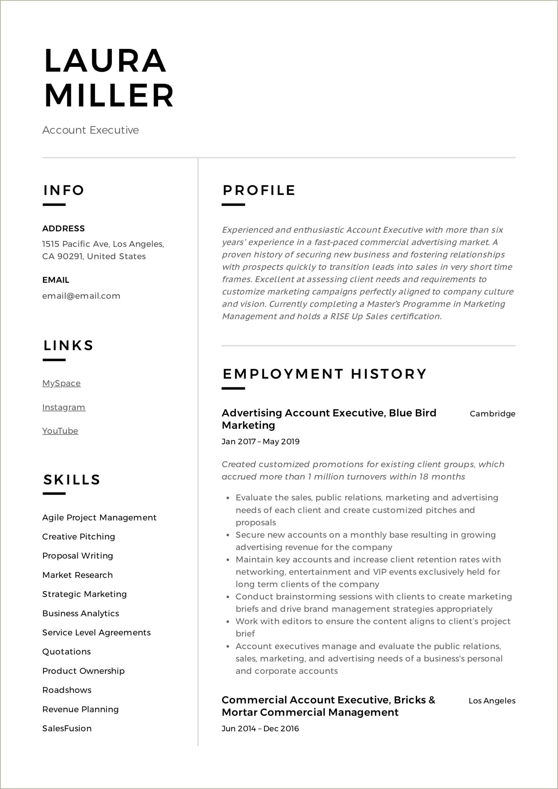 Examples Of An Executive Summary On A Resume