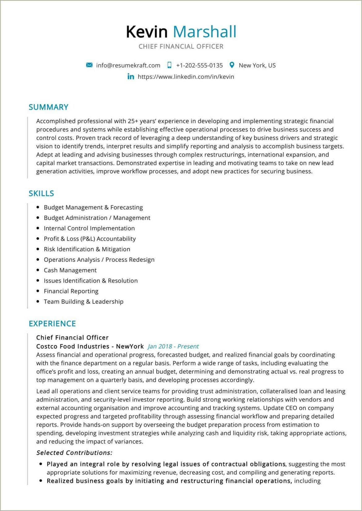 Examples Of Chief Financial Officer Resume