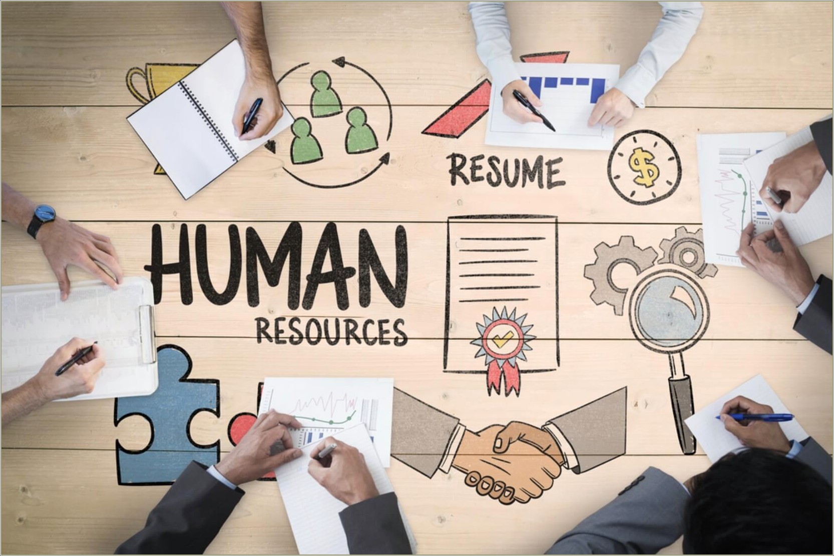 Examples Of Human Resources Objectives For Resumes